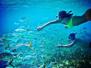 Best Snorkeling